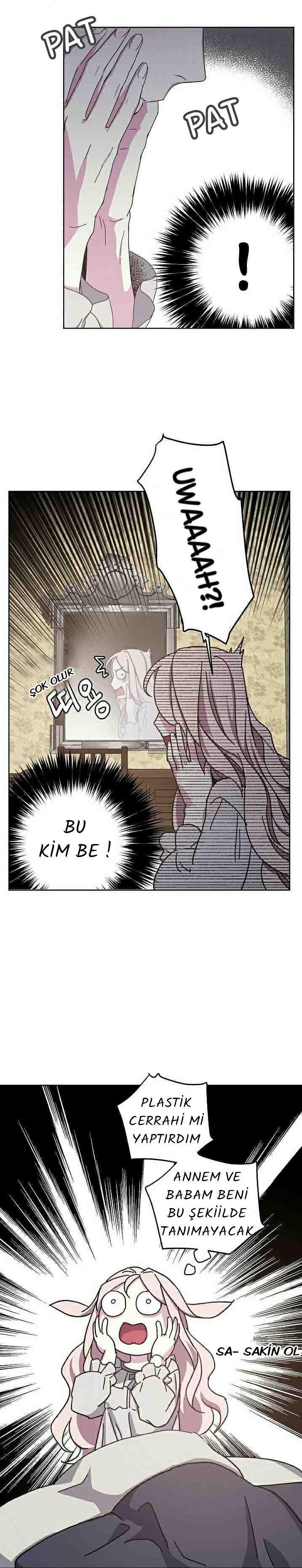 12-cmnq2268807i4ucwa0pciz3a1