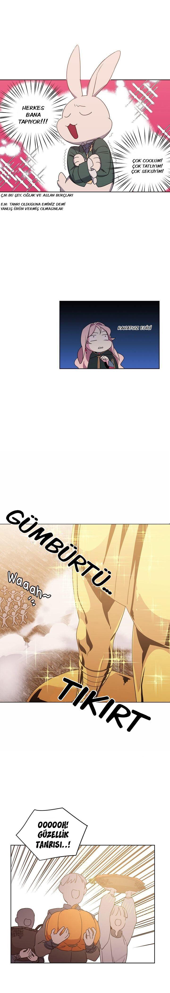 13-cmnq2268807i4ucwa0pciz3a1