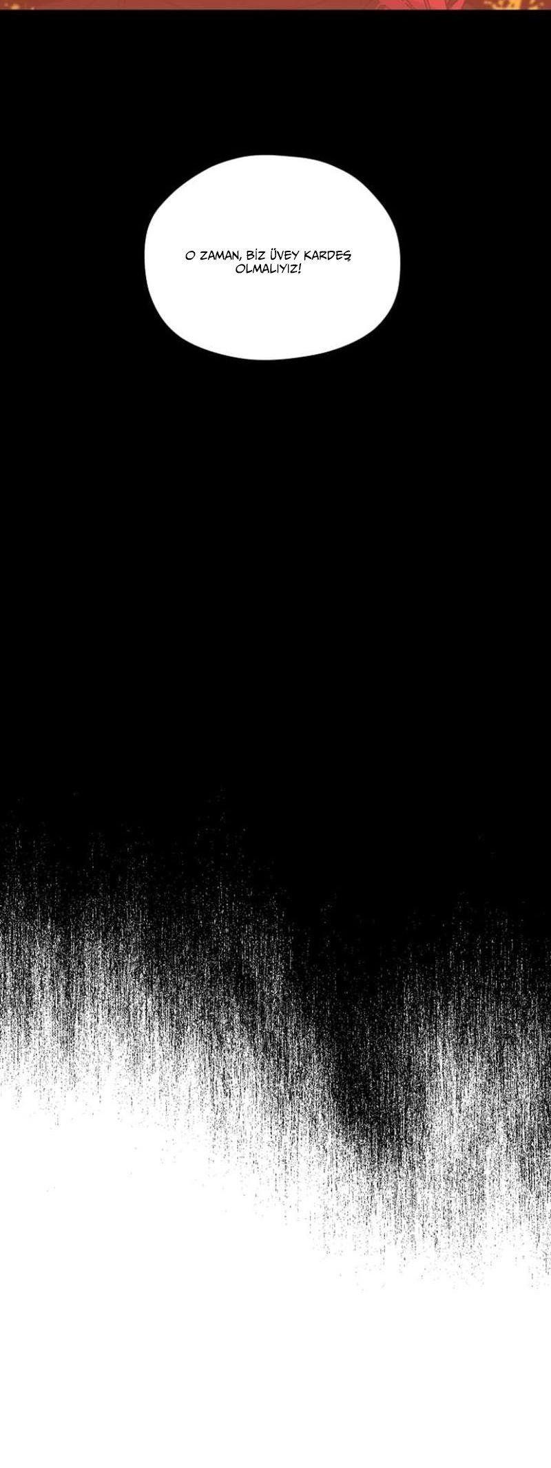 16-cmnq2268807i4ucwa0pciz3a1