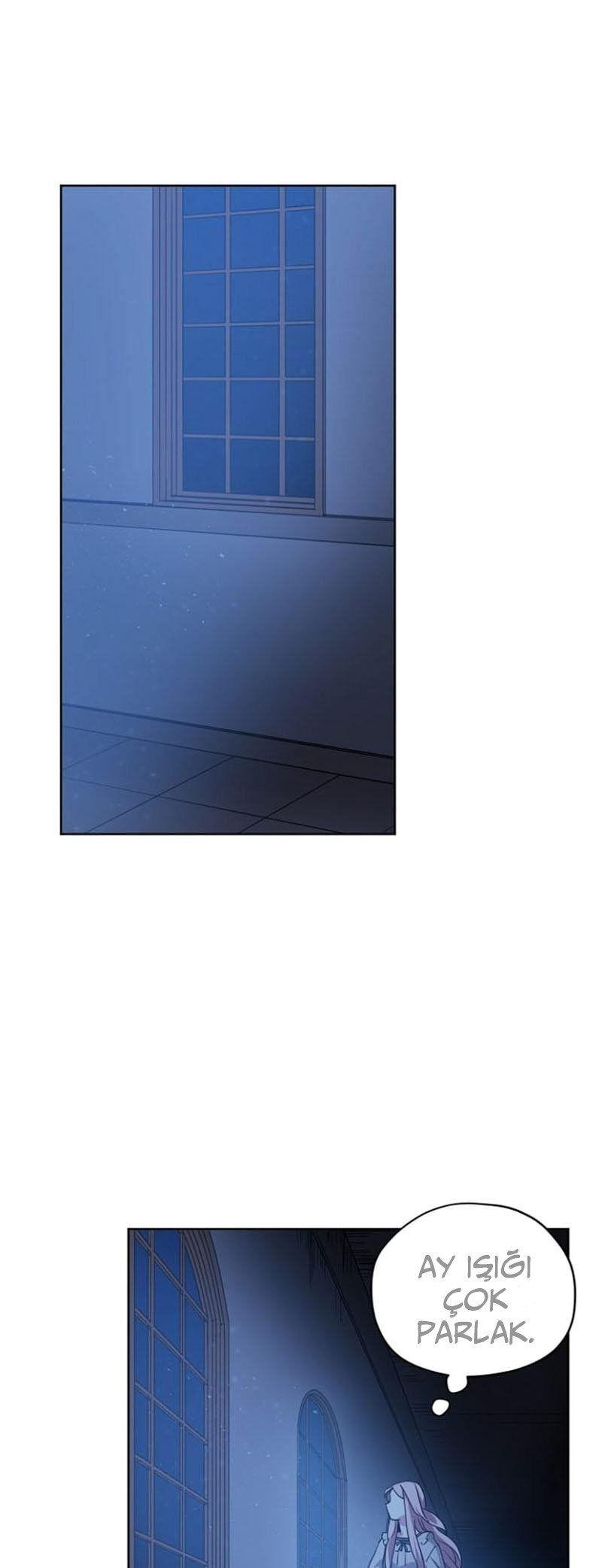 13-cmnq2268807i4ucwa0pciz3a1