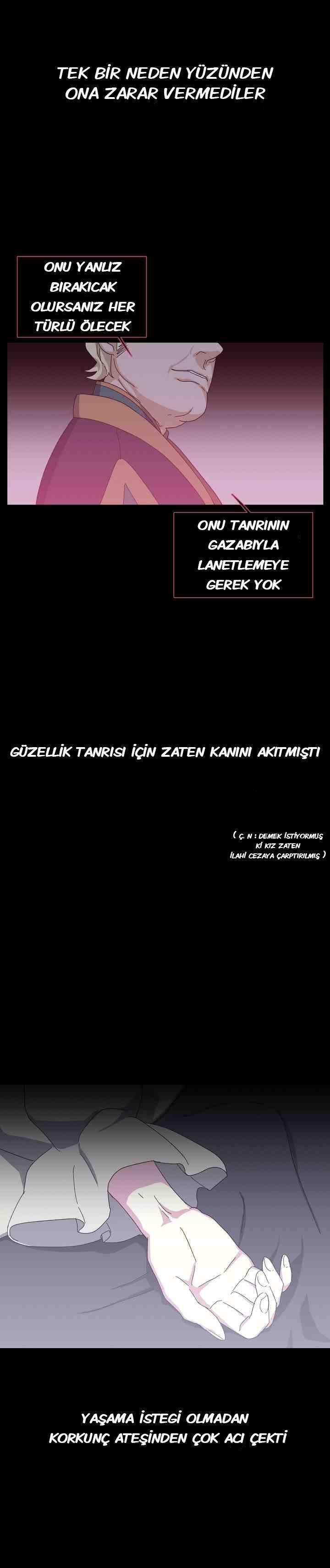 3-cmnq2268807i4ucwa0pciz3a1