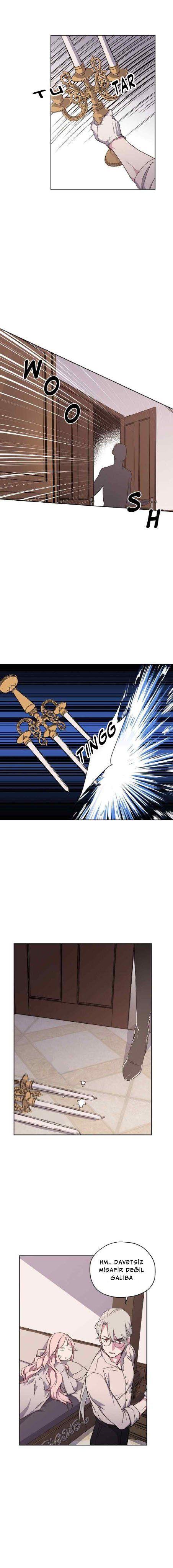 5-cmnq2268807i4ucwa0pciz3a1