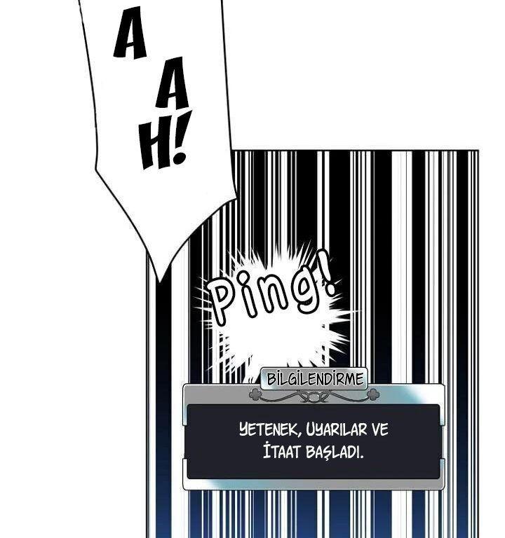 13-cmnq2268807i4ucwa0pciz3a1