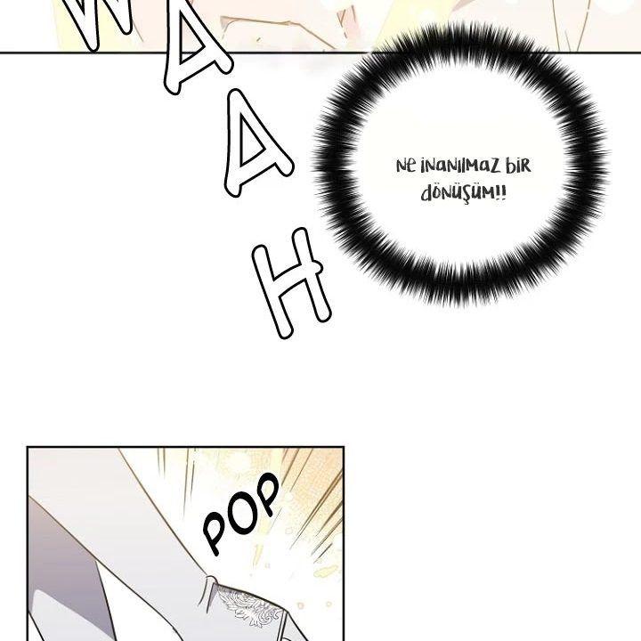 31-cmnq2268807i4ucwa0pciz3a1