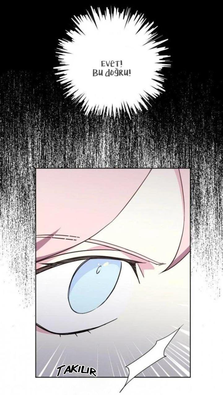 48-cmnq2268807i4ucwa0pciz3a1