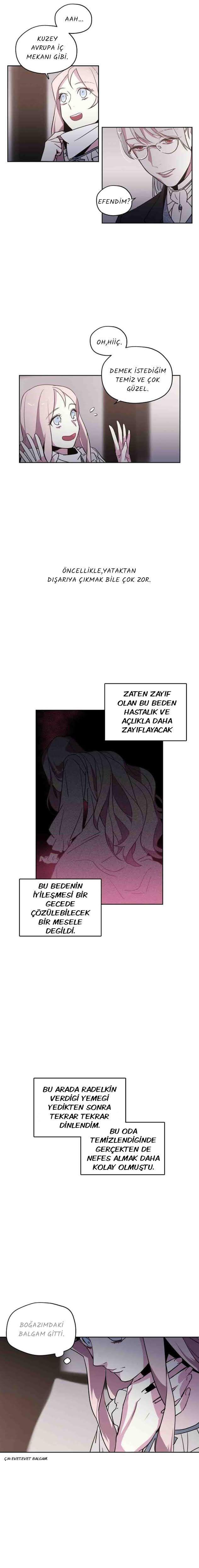 2-cmnq2268807i4ucwa0pciz3a1