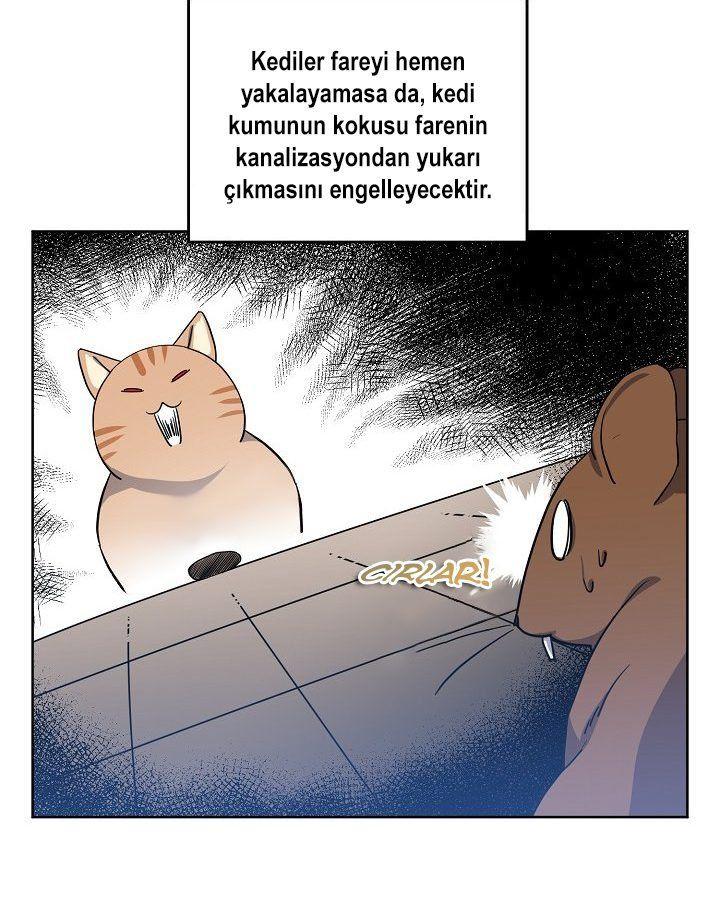 22-cmnq2268807i4ucwa0pciz3a1