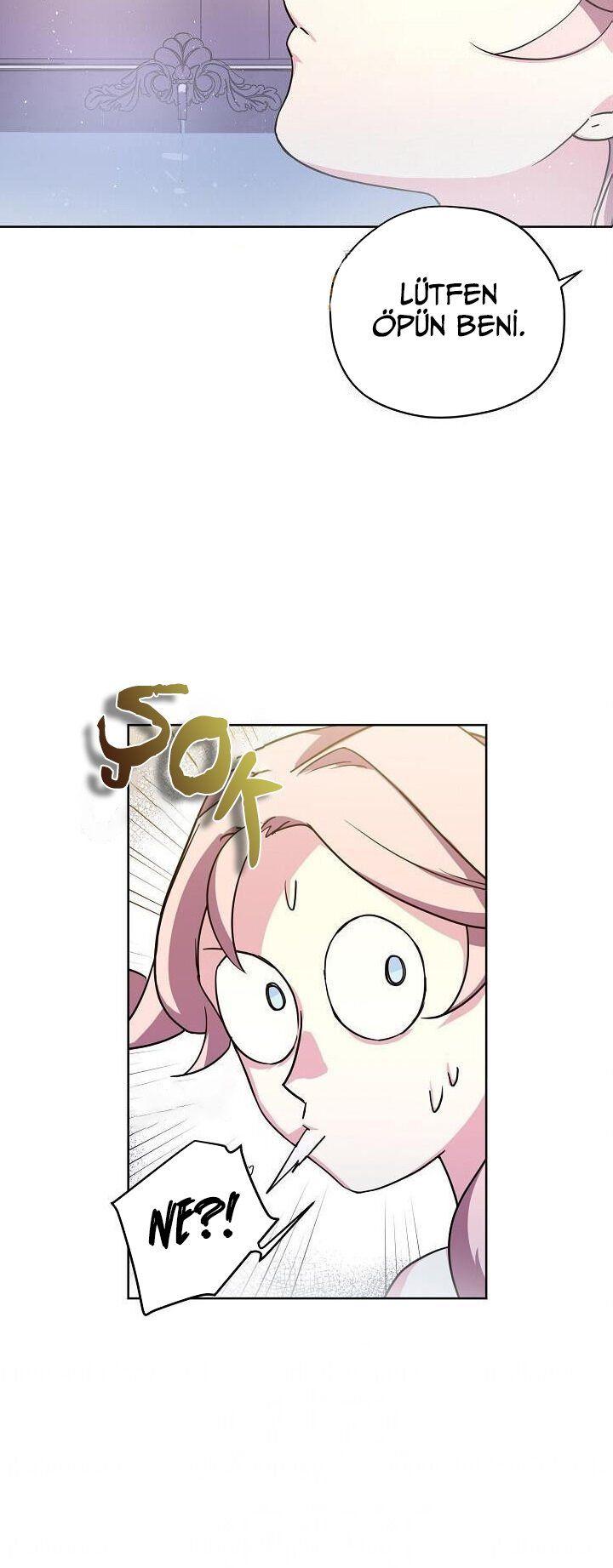 35-cmnq2268807i4ucwa0pciz3a1