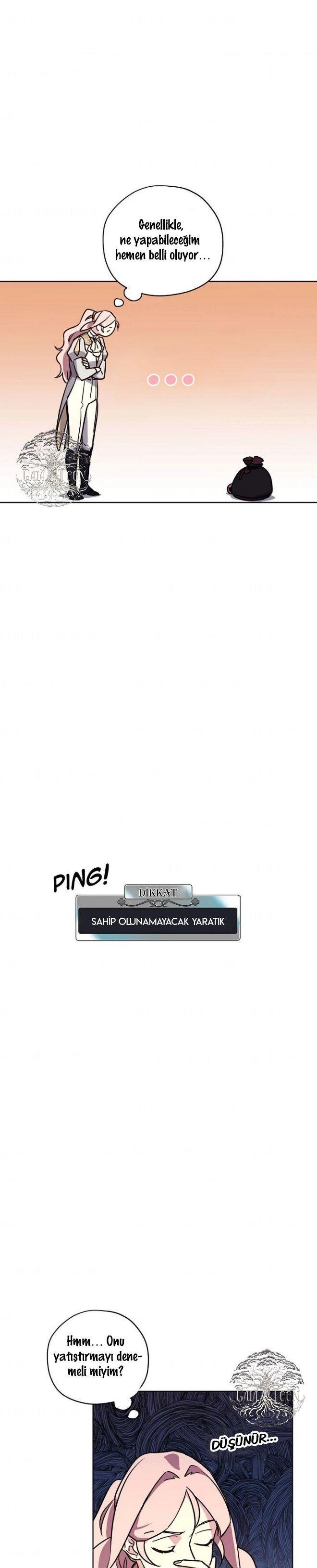 13-cmnq2268807i4ucwa0pciz3a1