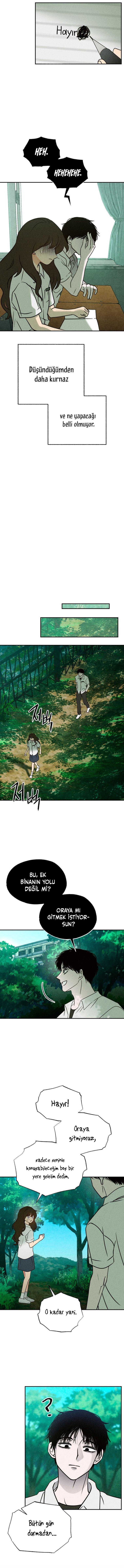 9-cmnq2268807i4ucwa0pciz3a1