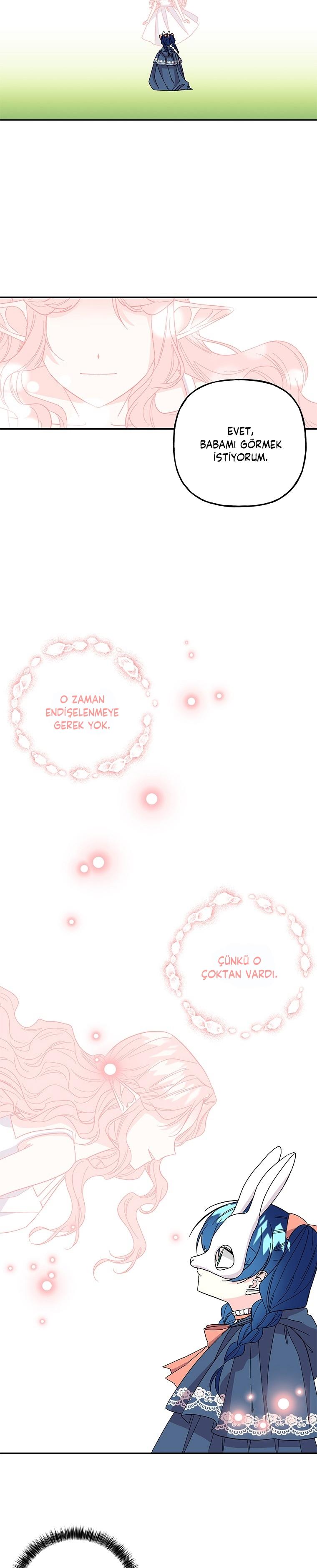 23-cmc1vvo430025phxcd4xhnki2