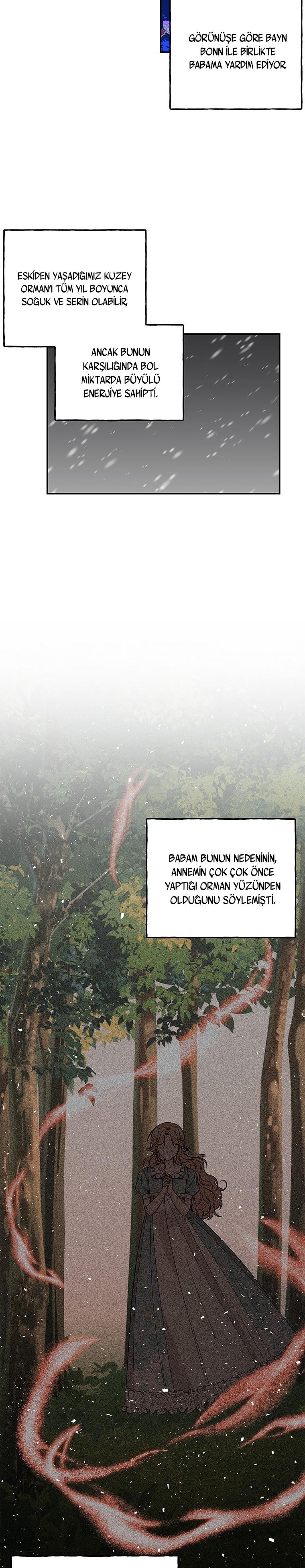 23-cmc1vvo430025phxcd4xhnki2
