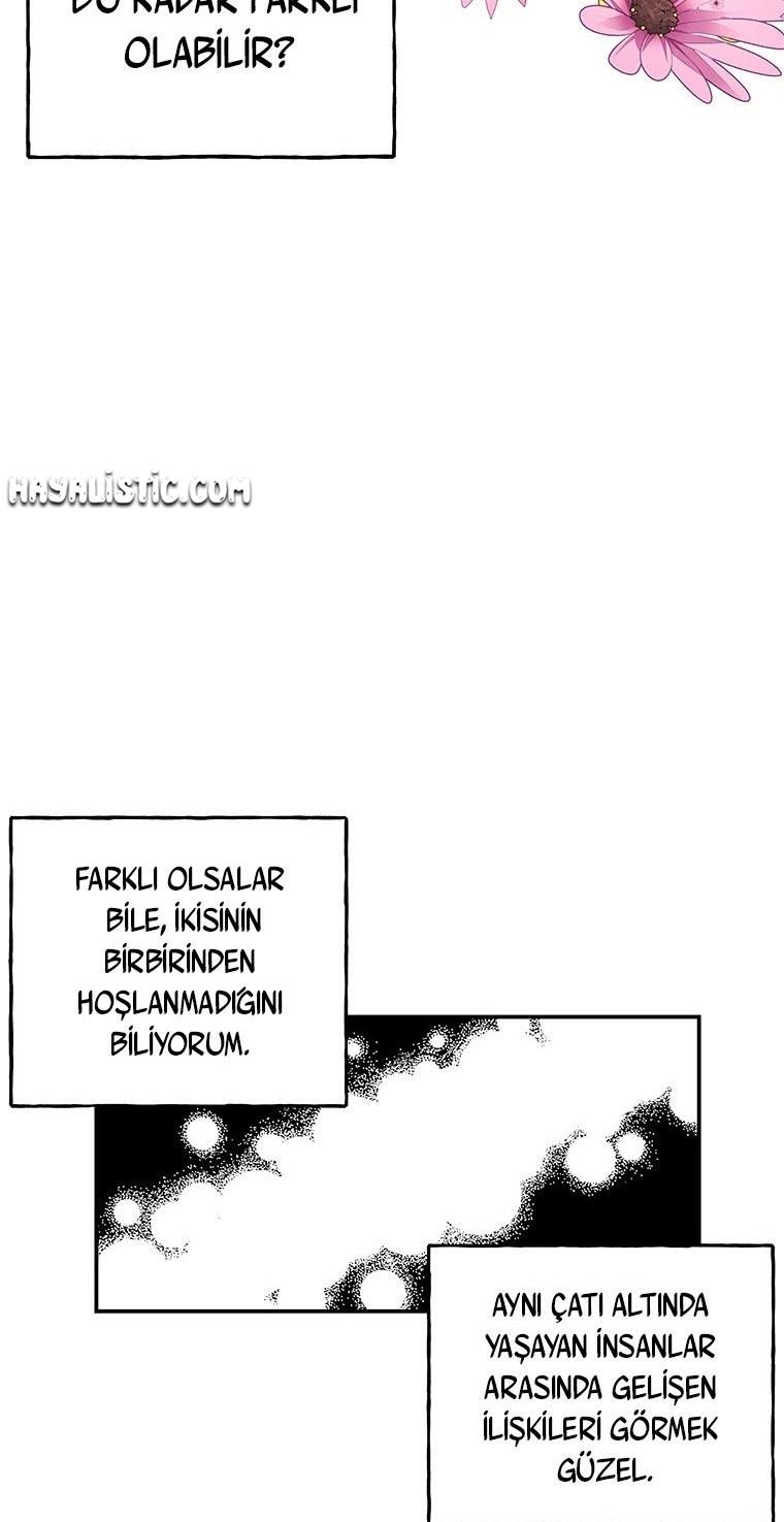 25-cmc1vvo430025phxcd4xhnki2