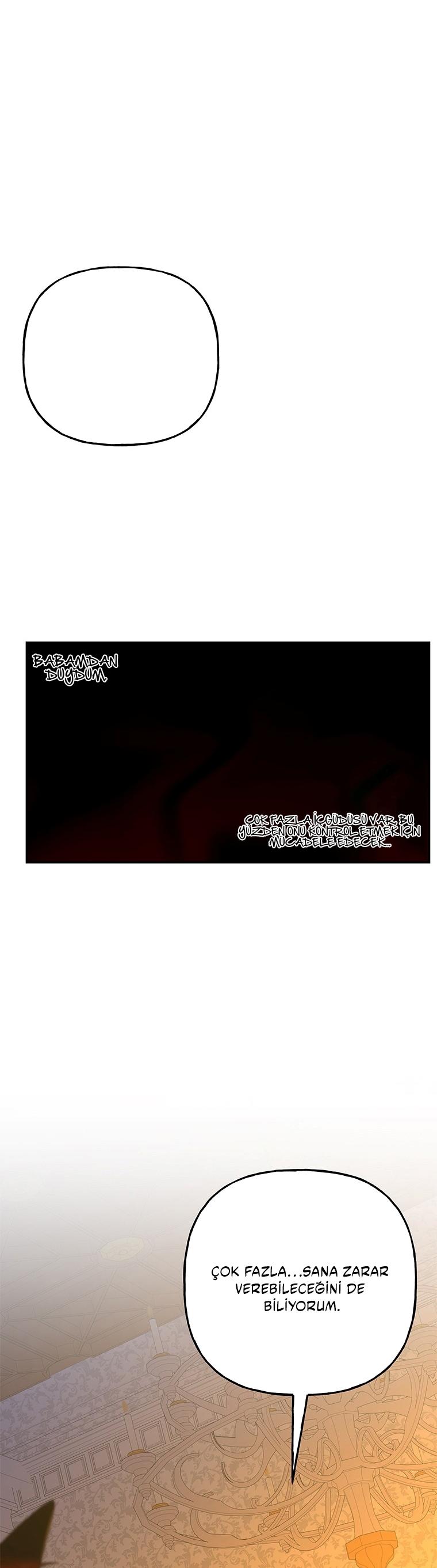 11-cmc1vvo430025phxcd4xhnki2
