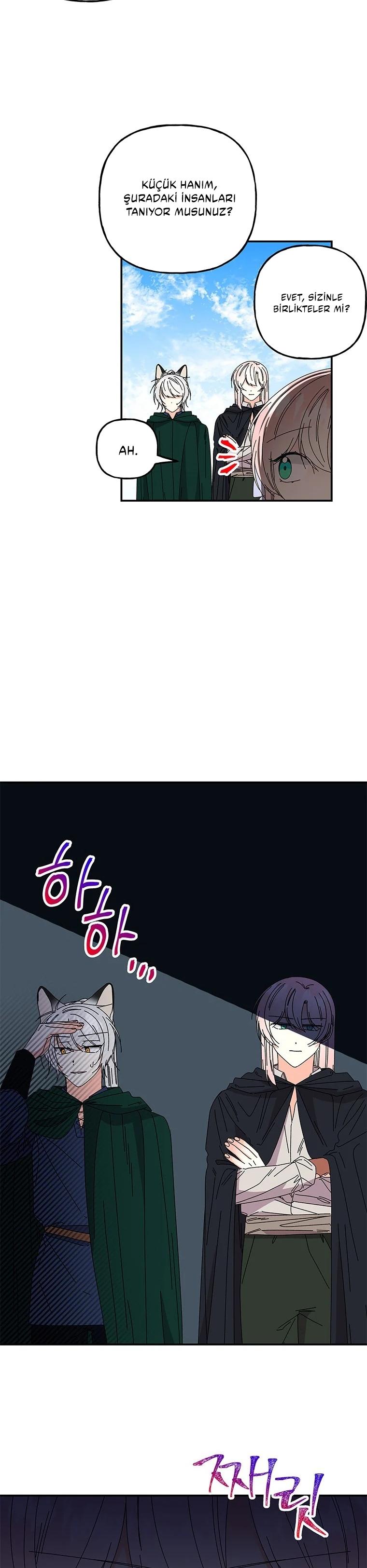 5-cmc1vvo430025phxcd4xhnki2