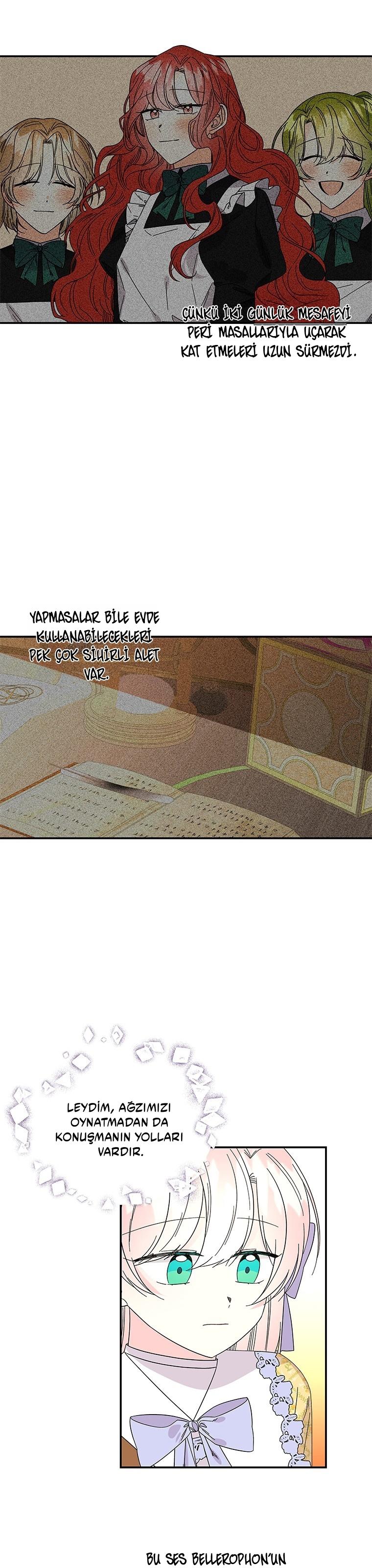 24-cmc1vvo430025phxcd4xhnki2