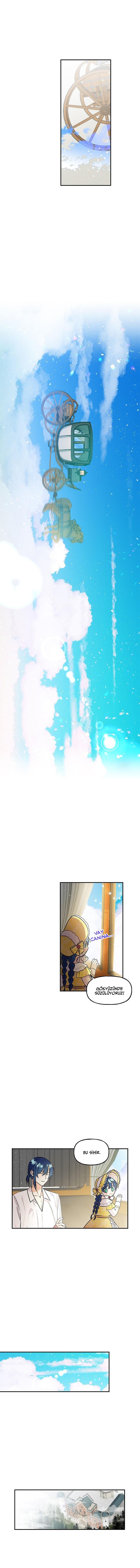 3-cmc1vvo430025phxcd4xhnki2