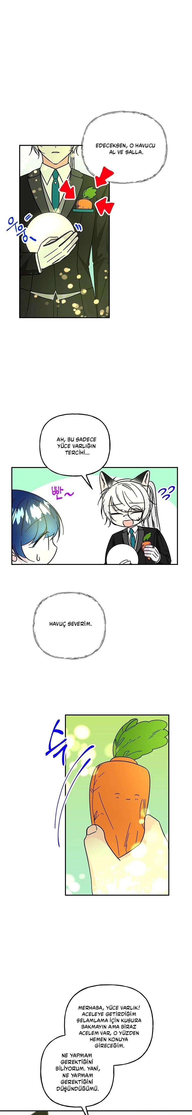 19-cmc1vvo430025phxcd4xhnki2