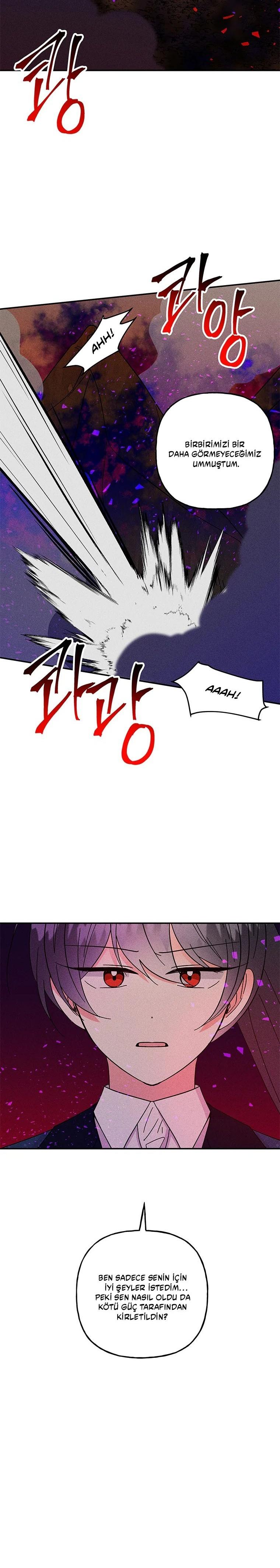 25-cmc1vvo430025phxcd4xhnki2