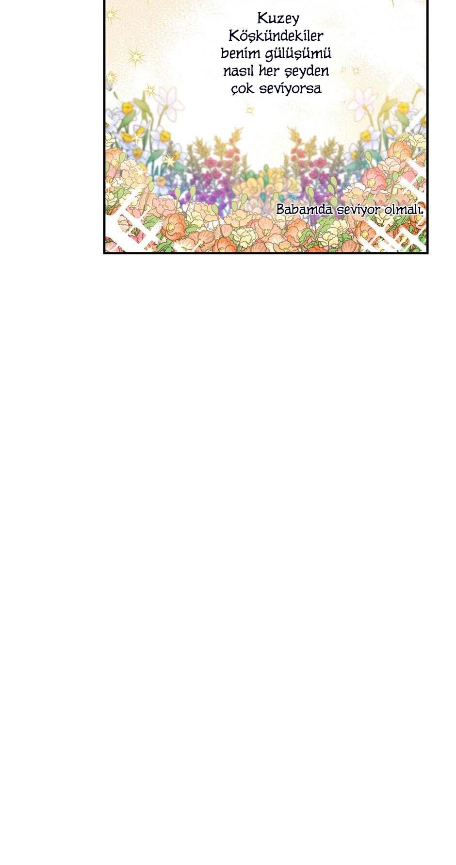 11-cmc1vvo430025phxcd4xhnki2