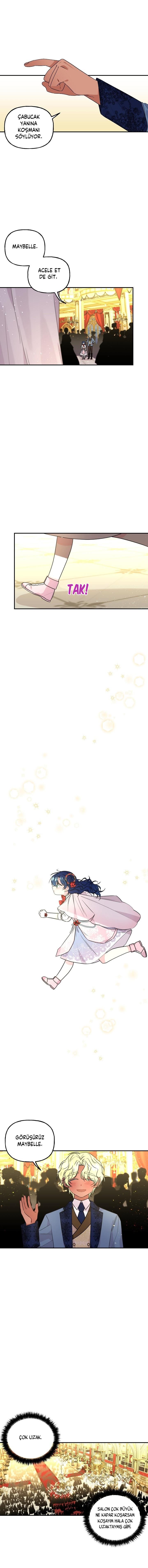 7-cmc1vvo430025phxcd4xhnki2