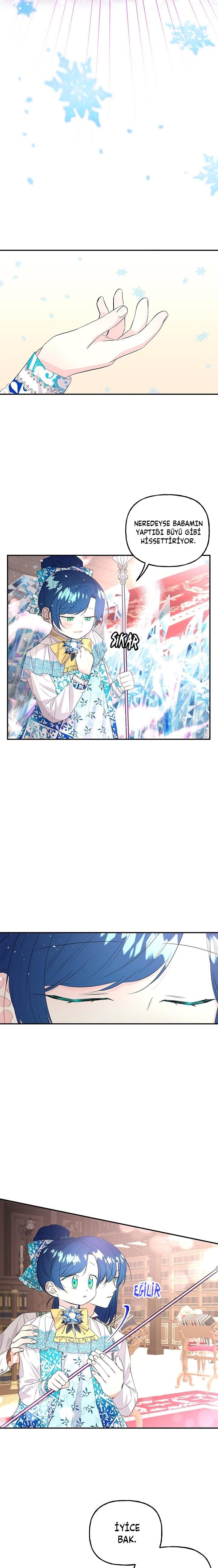5-cmc1vvo430025phxcd4xhnki2