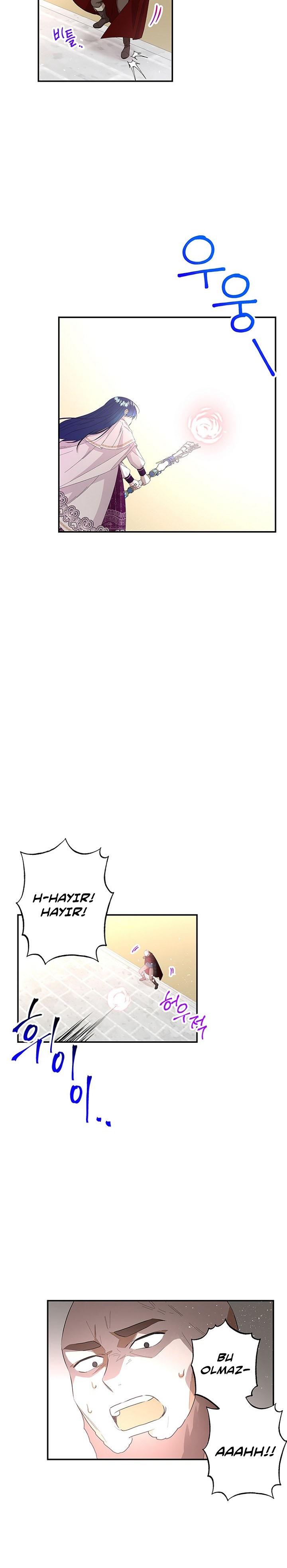 3-cmc1vvo430025phxcd4xhnki2
