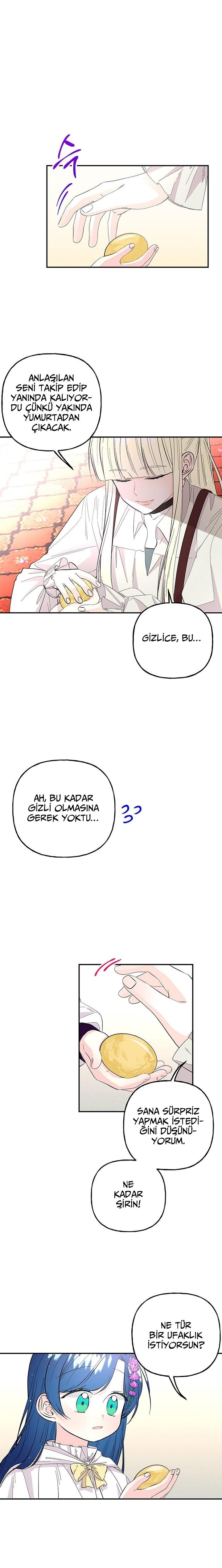 13-cmc1vvo430025phxcd4xhnki2