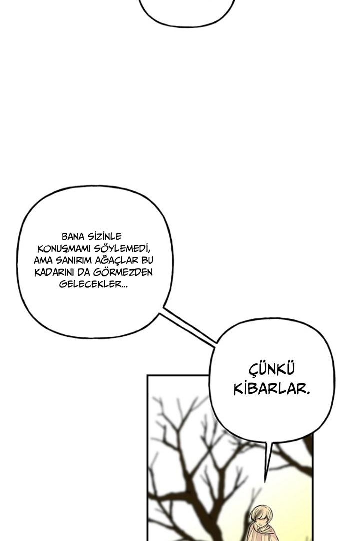 31-cmc1vvo430025phxcd4xhnki2