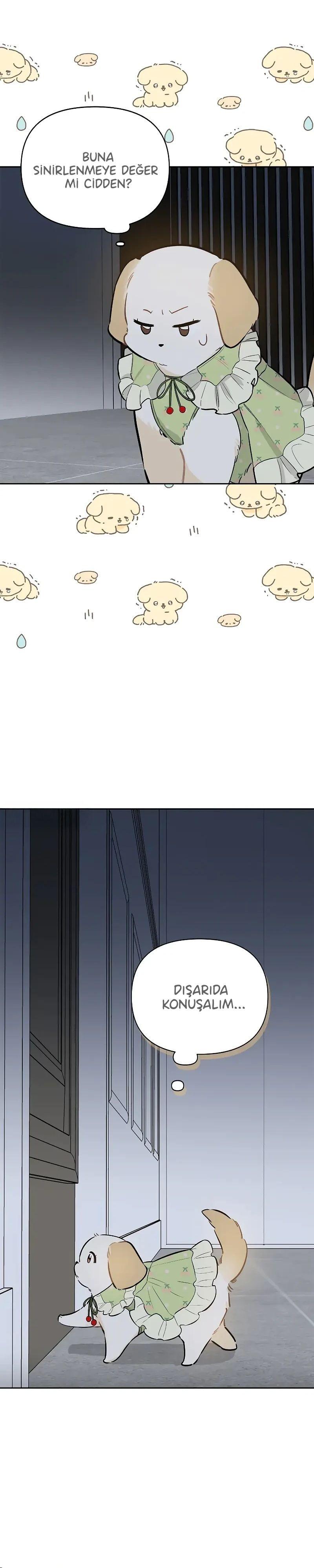 16-cmnq2268807i4ucwa0pciz3a1