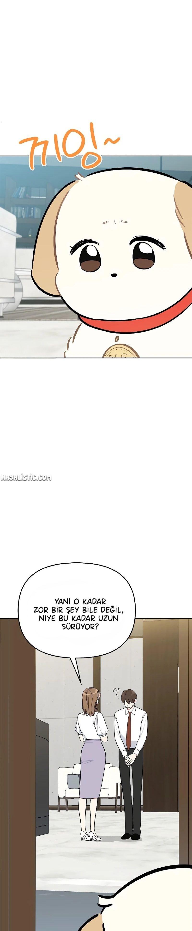 13-cmnq2268807i4ucwa0pciz3a1