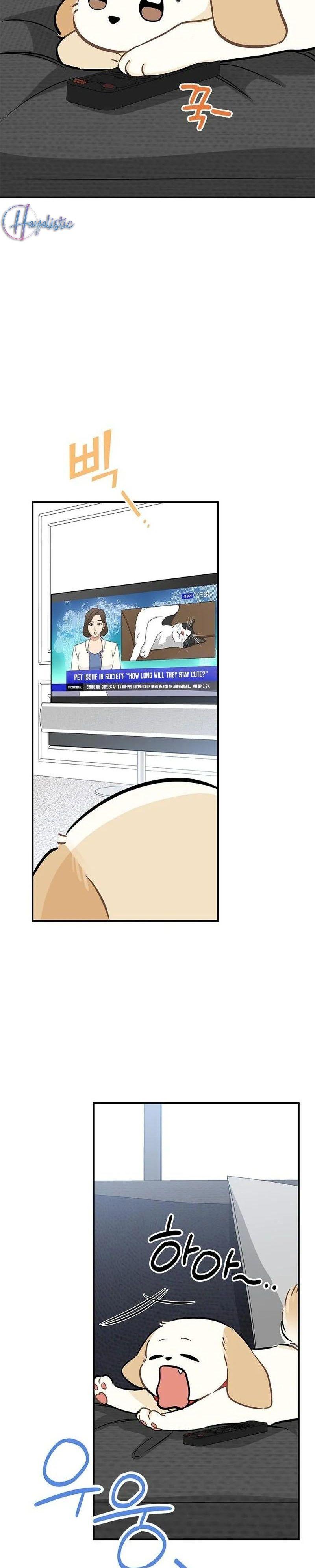 11-cmnq2268807i4ucwa0pciz3a1