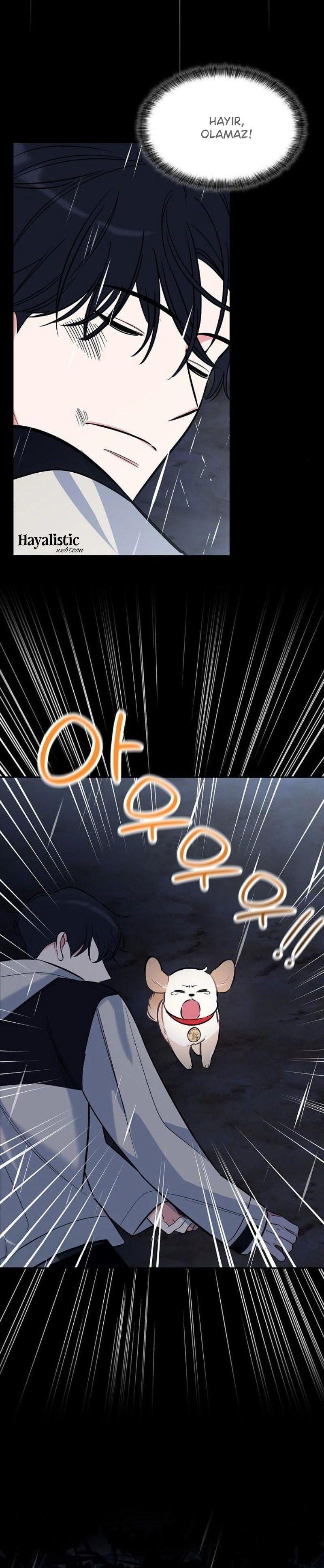 20-cmnq2268807i4ucwa0pciz3a1