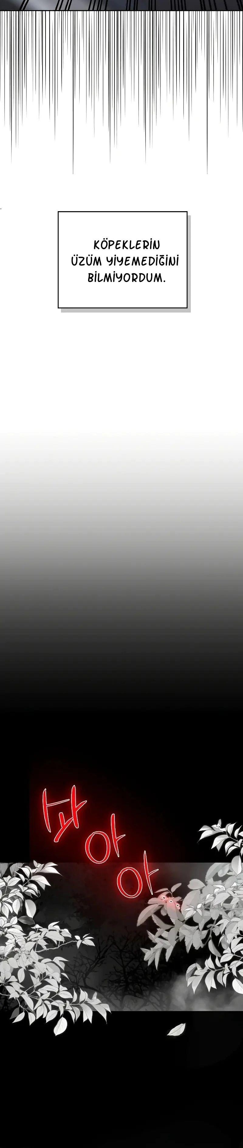 32-cmnq2268807i4ucwa0pciz3a1