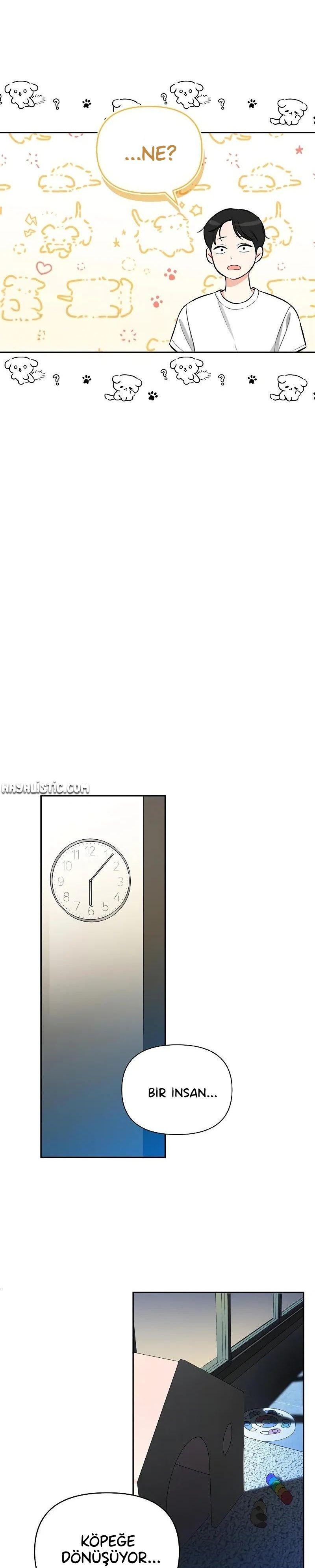 9-cmnq2268807i4ucwa0pciz3a1