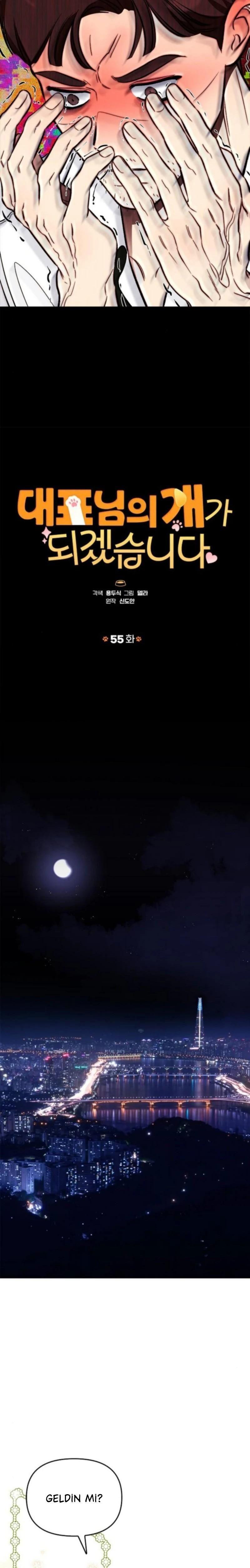 12-cmnq2268807i4ucwa0pciz3a1