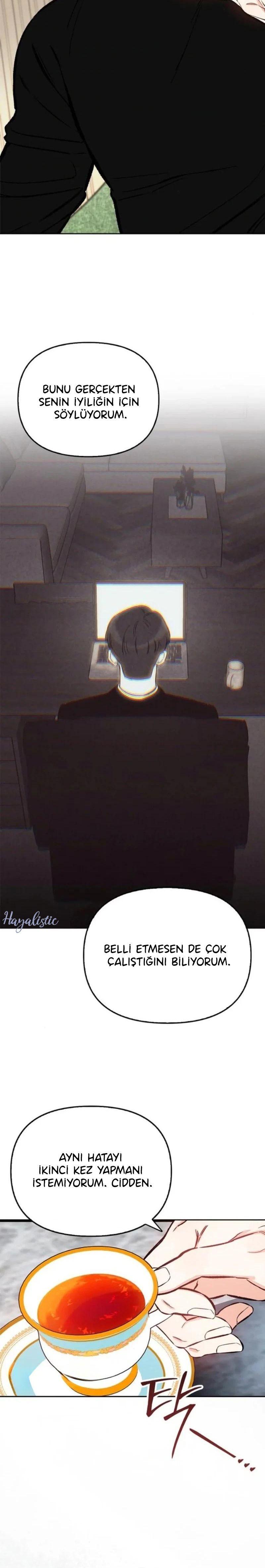 12-cmnq2268807i4ucwa0pciz3a1