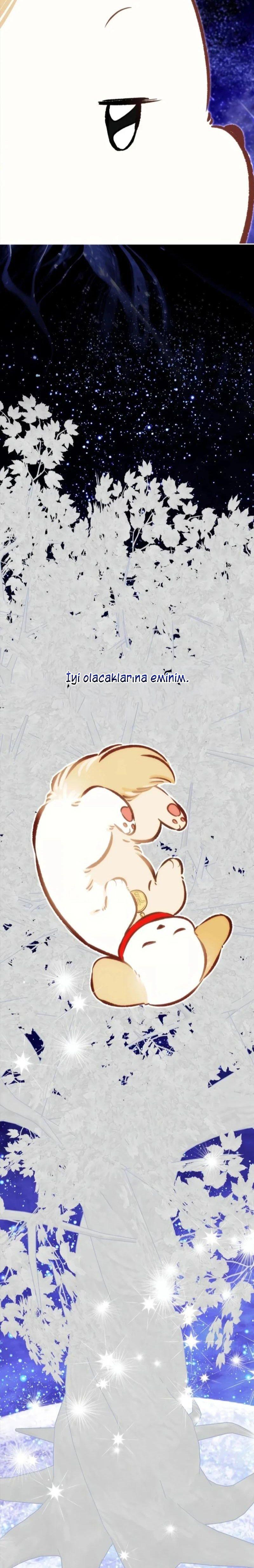 20-cmnq2268807i4ucwa0pciz3a1