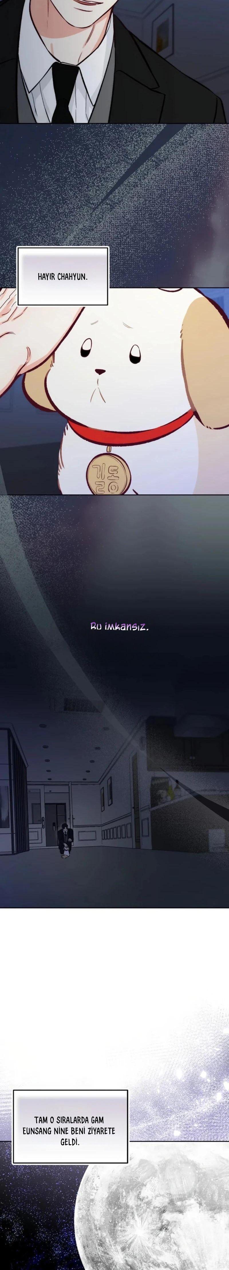 9-cmnq2268807i4ucwa0pciz3a1