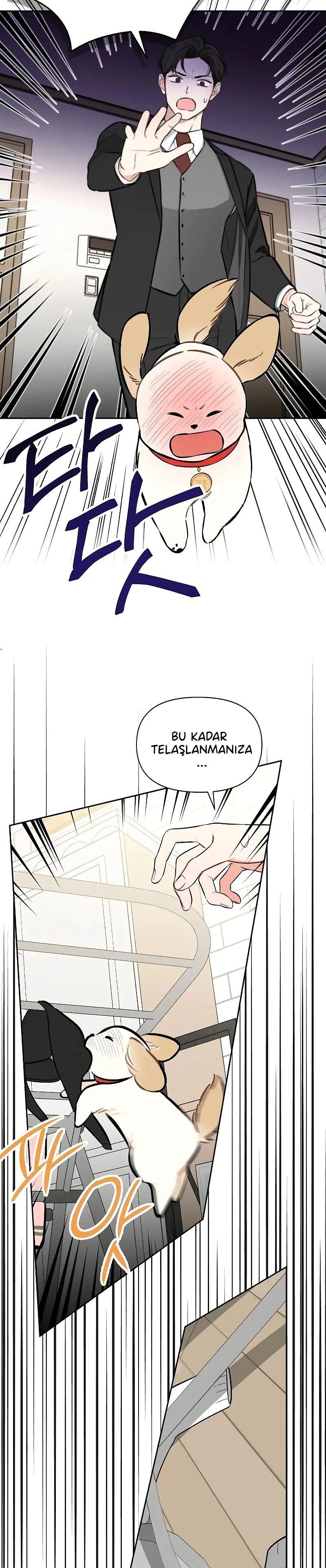 14-cmnq2268807i4ucwa0pciz3a1