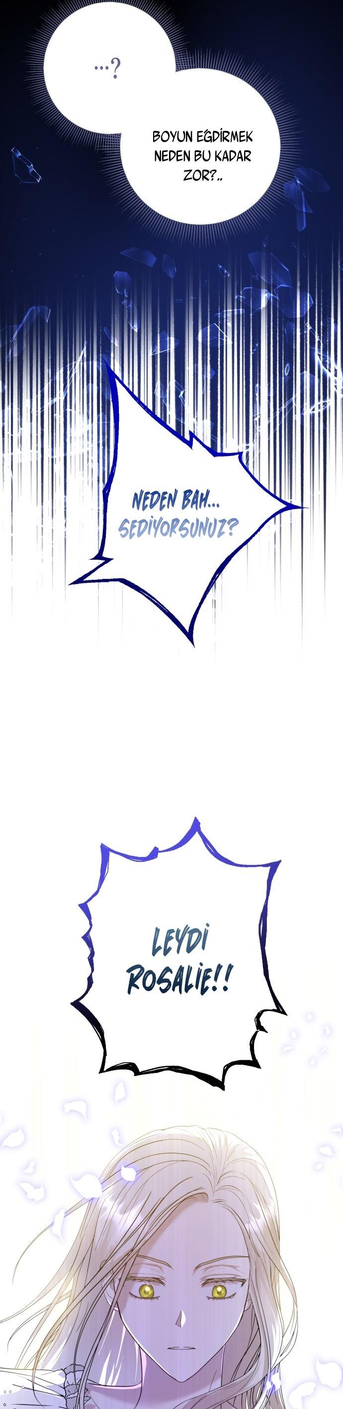 17-cm2xdfr0s0001tt82570od8ls