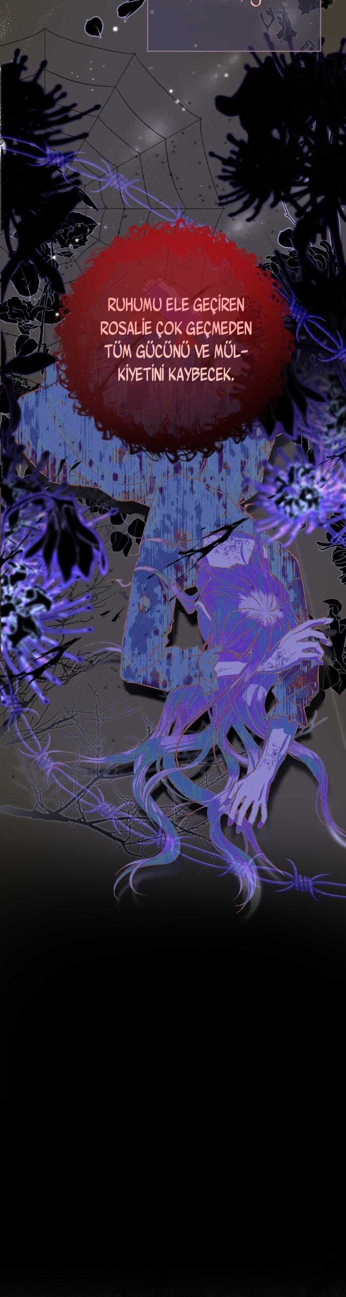 33-cm2xdfr0s0001tt82570od8ls