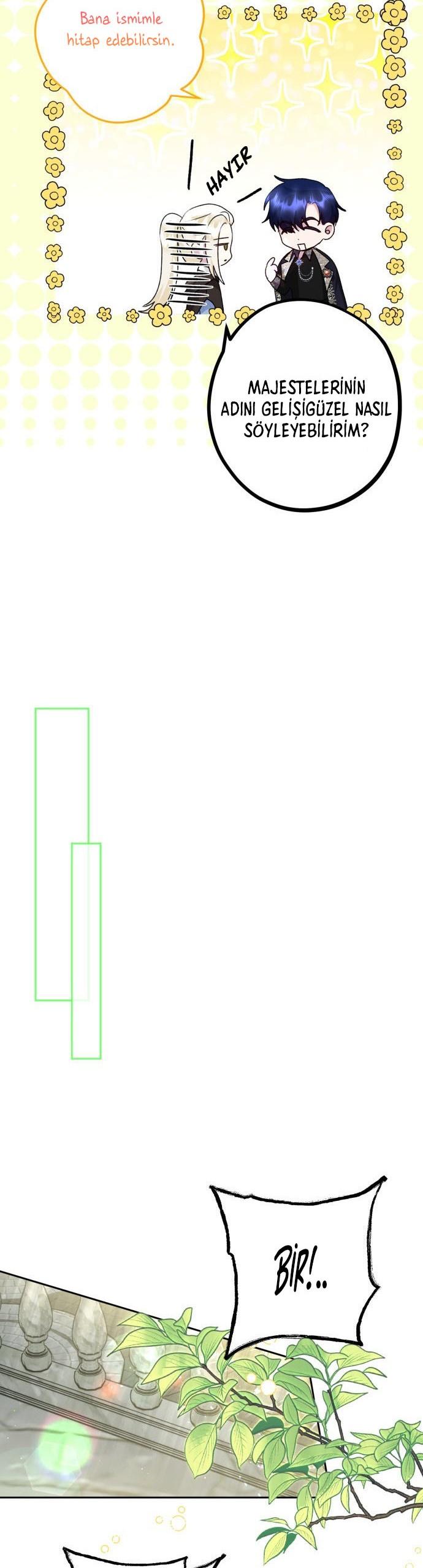 24-cm2xdfr0s0001tt82570od8ls