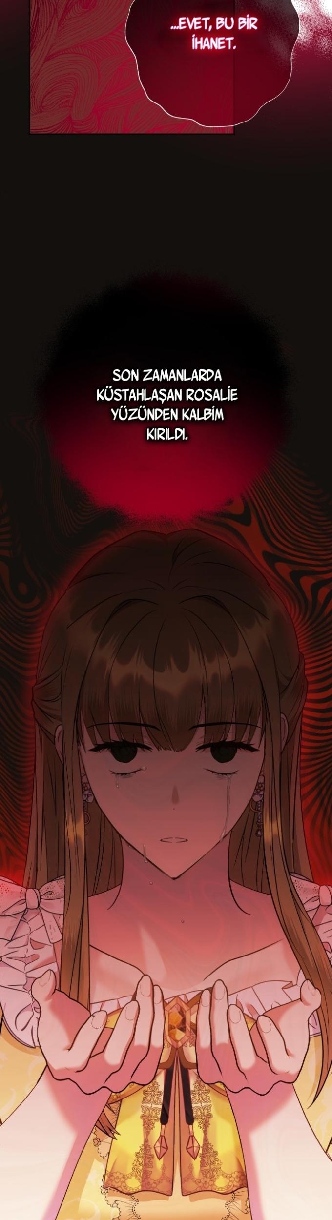 13-cm2xdfr0s0001tt82570od8ls