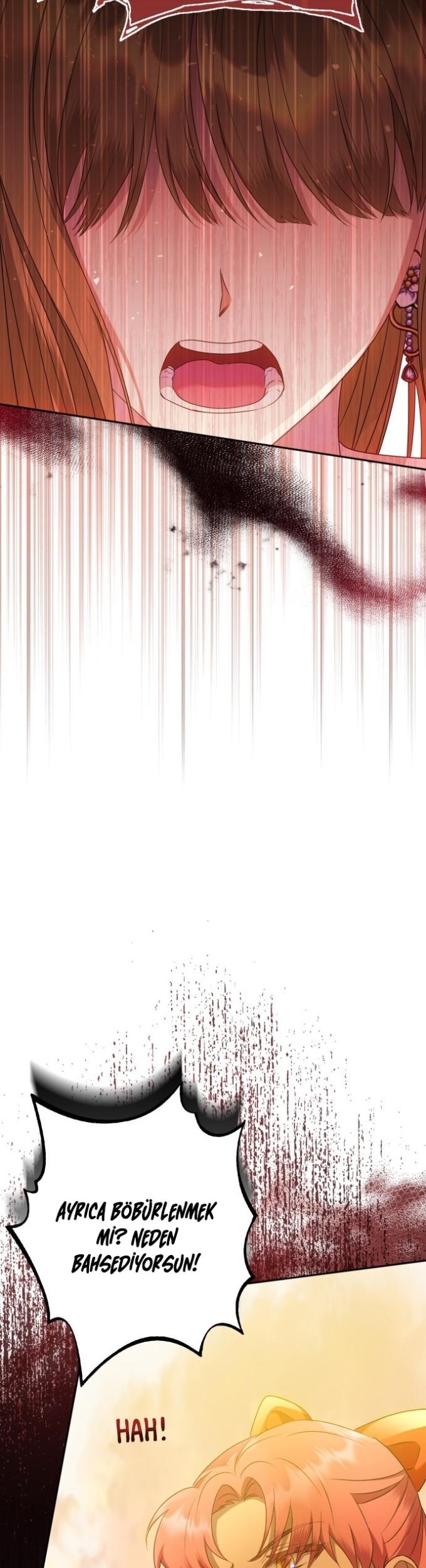 6-cm2xdfr0s0001tt82570od8ls
