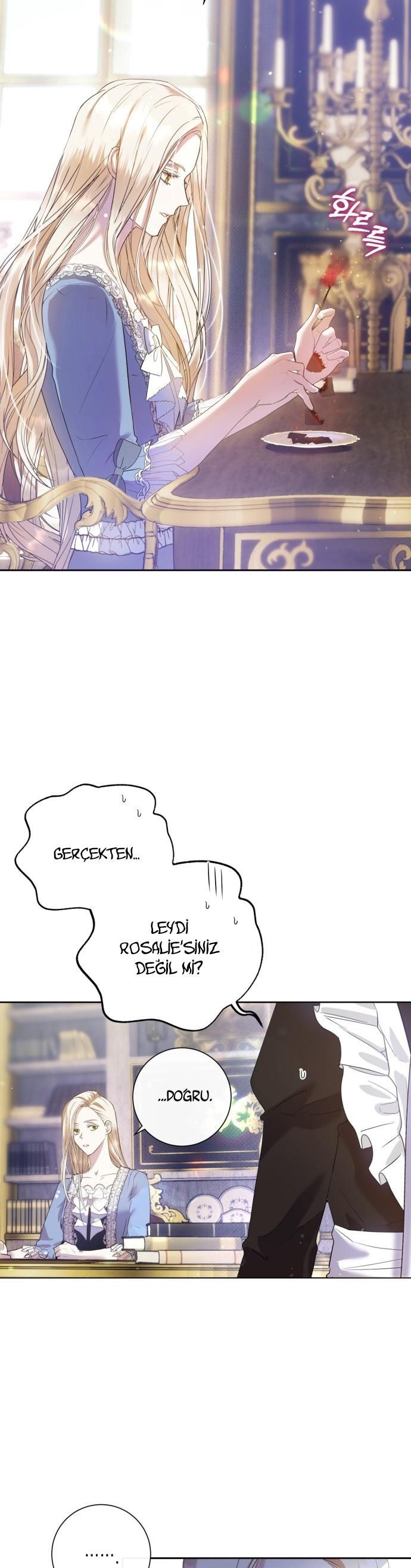 3-cm2xdfr0s0001tt82570od8ls