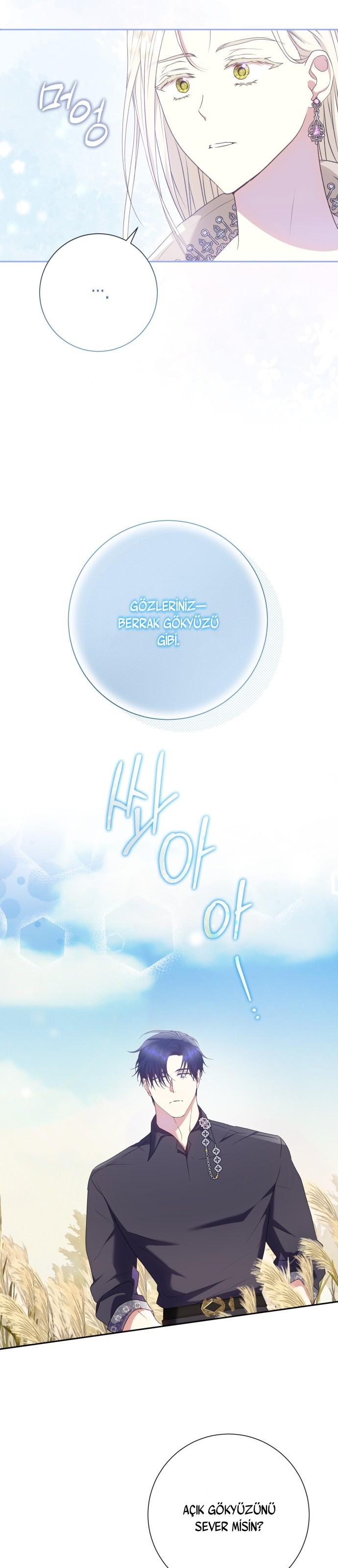 13-cm2xdfr0s0001tt82570od8ls