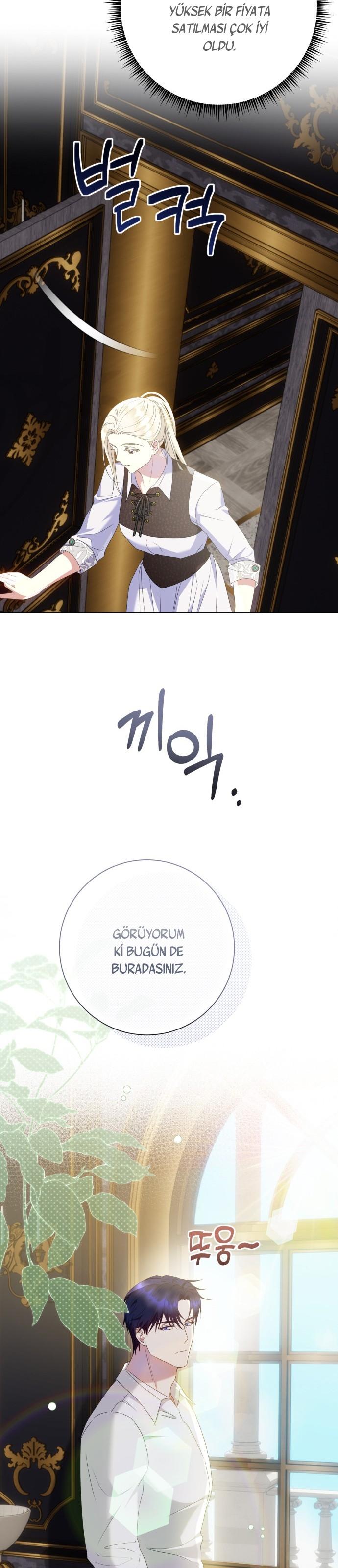 23-cm2xdfr0s0001tt82570od8ls