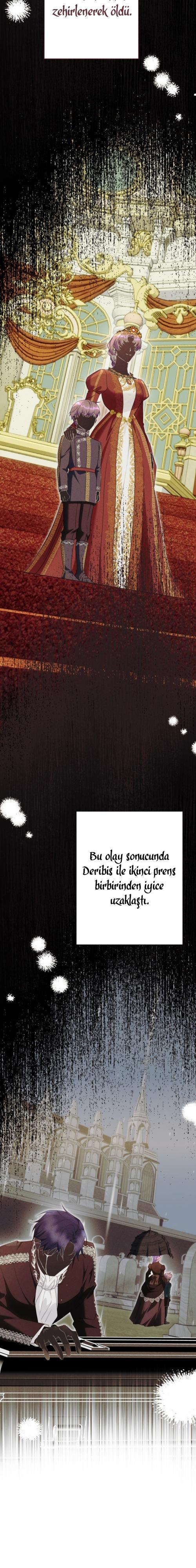 12-cm2xdfr0s0001tt82570od8ls