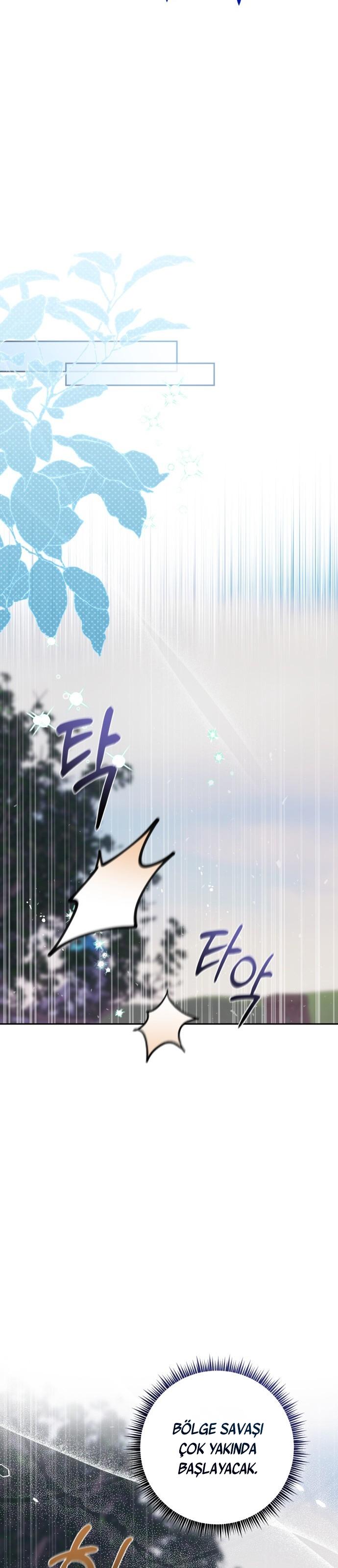 13-cm2xdfr0s0001tt82570od8ls